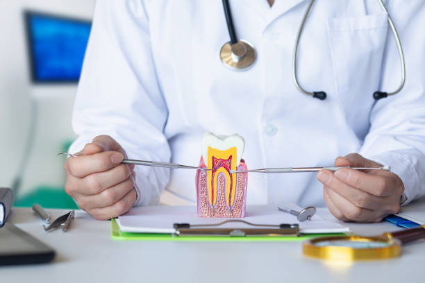 Best Emergency Wisdom Teeth Removal in Summerde, AL